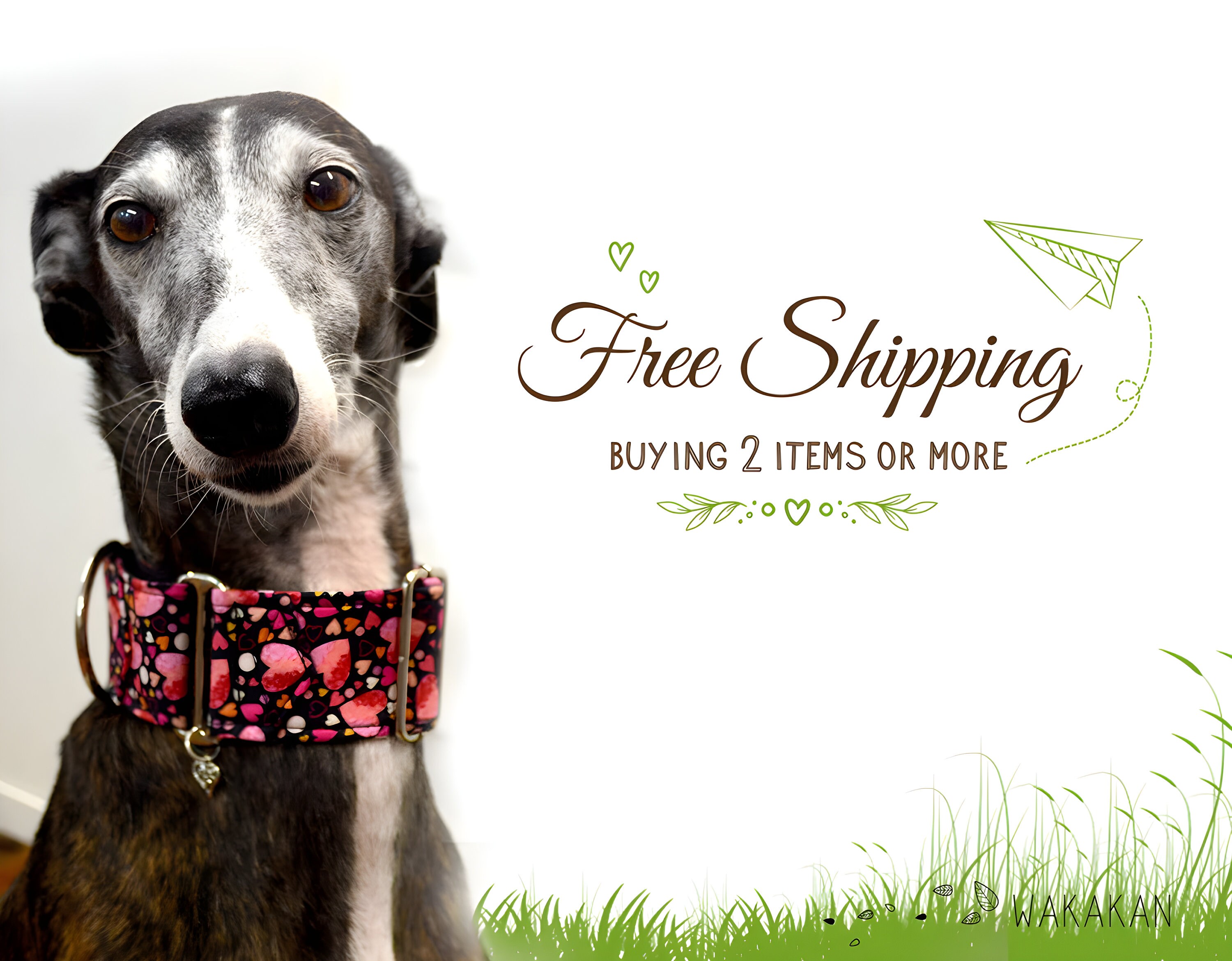 Martingale dog collar Acorns. Adjustable and handmade with 100 cotton