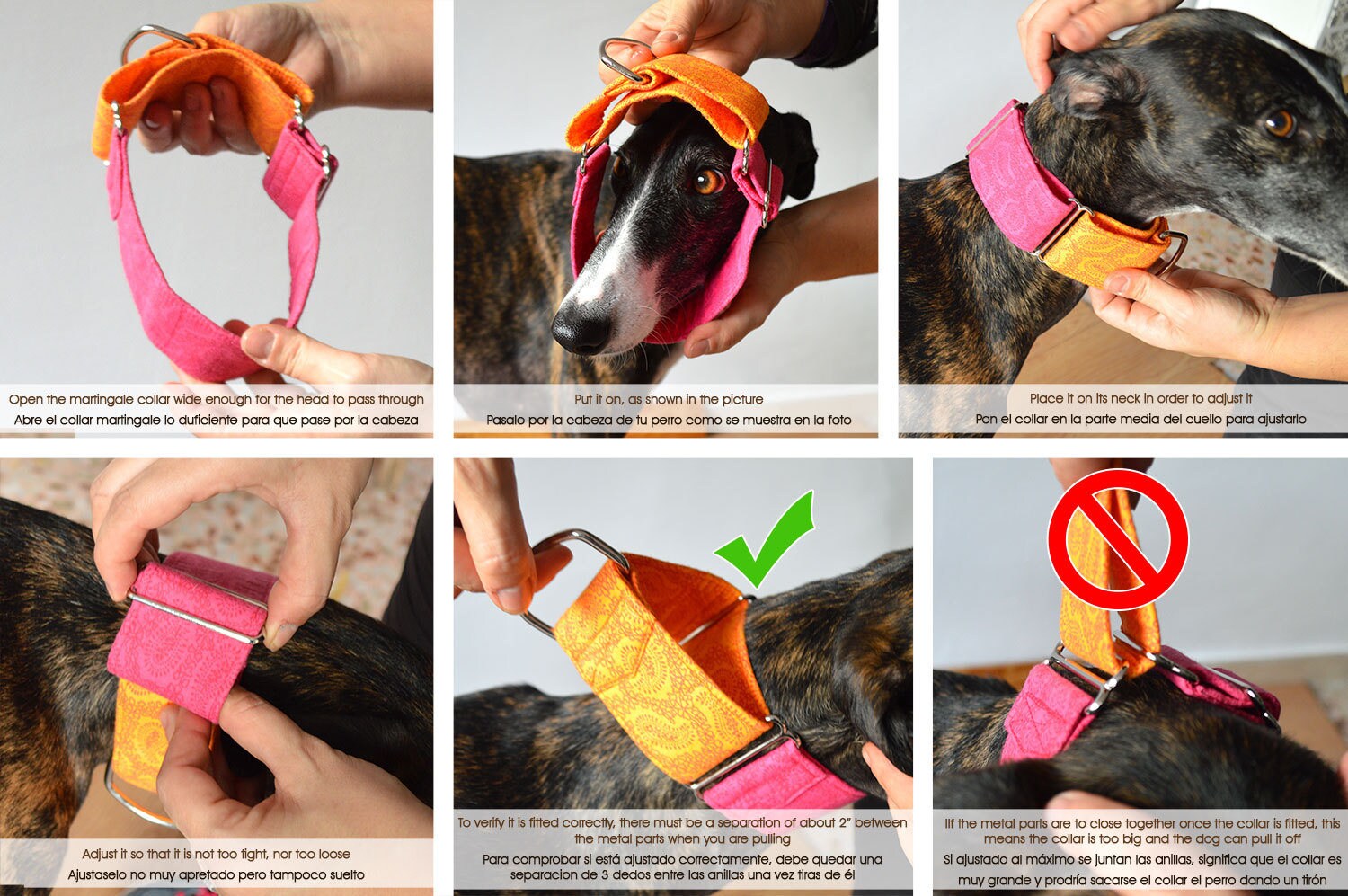 Martingale dog collar model This is Halloween. Adjustable and handmade with 100 cotton fabric