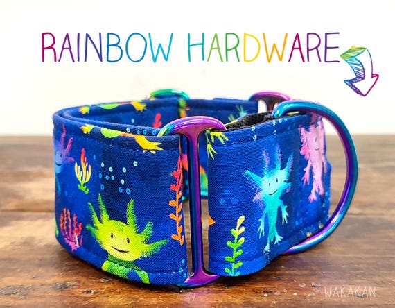 Martingale dog collar Axolotl. Adjustable and handmade with 100% cotton fabric. Ajolote, animal, rainbow. Wakakan