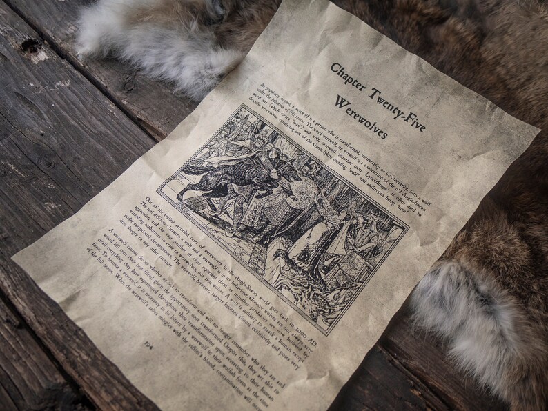 3 Pages de loupsgarous inspirés de Harry Potter Parchemins Etsy