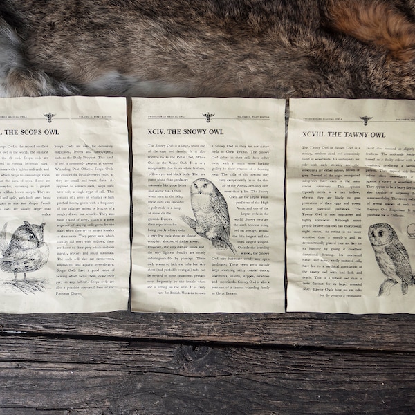 3 Magical Beasts Inspired Pages - Types of Owls