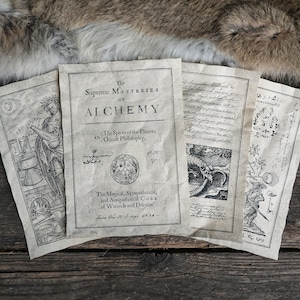 4 páginas de estudio de ocultismo, wicca y alquimia - Entradas del diario de filosofía natural