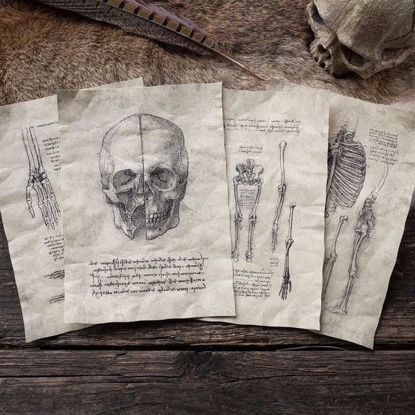 4 Seiten mit anatomischen Studien – von Leonardo da Vinci inspirierte Anatomie-Tagebucheinträge
