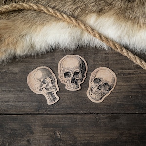 3 Poison Skull Anatomy Bottle Stickers