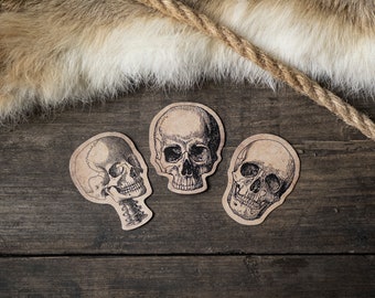 3 adesivi per bottiglie di anatomia del teschio velenoso