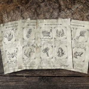 Op de afbeelding: Vier vellen papier met een vintage uitstraling, elk met een lijst van ingrediënten voor geavanceerde alchemie. Het papier is crèmekleurig met zwarte inkt en illustraties van verschillende ingrediënten, waaronder een slangentongblad, een spinnenpoot, geweien, een ketel, een kreeftenklauw, vlammende gras en een kikkerpoot.