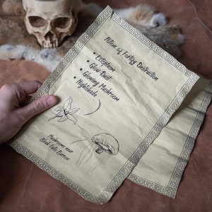 3 Skyrim Magic Alchemy Inspired Scrolls - Destruction, Restoration and fortify Magicka image 3