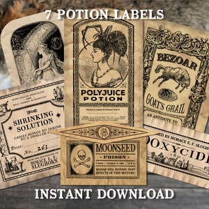 7 Potion Apothecary Labels - Set II - Laboratory Inspired - DIGITAL Files ONLY