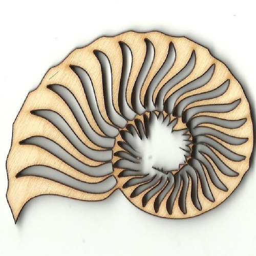 Sea Shell Laser Cut Out Unfinished Wood Shape Craft Supply Etsy
