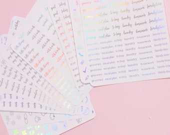 Productivity - Holographic Clear Foil Planner Stickers - Functional - Icons - Words - Over 600 Stickers - Folder Included - Minimal