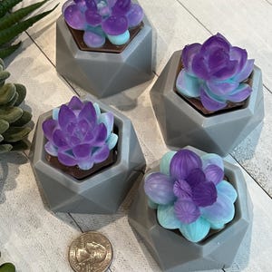 Succulent soaps for wedding favors, succulent soap Bridal Shower favors, baby shower favors, let love grow soap favors