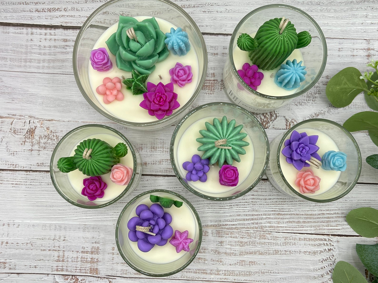 Succulent Cacti Terrarium Soy Candle Succulent Terrarium Etsy