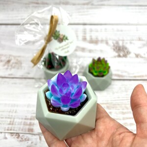 Succulent soaps for wedding favors, succulent soap Bridal Shower favors, baby shower favors, let love grow soap favors
