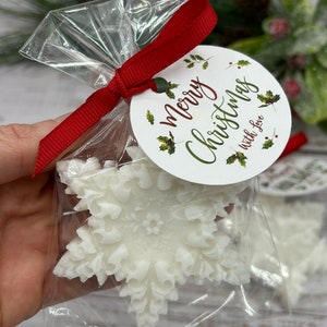 Snowflake Soaps,Quick Ship, Christmas Soap gifts, Winter Baby Shower Favors,Winter Bridal Shower,Onederful Birthday Favors,Winter Wonderland