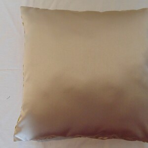 May include: A beige throw pillow with a subtle sheen. The pillow is made of a soft, smooth fabric.