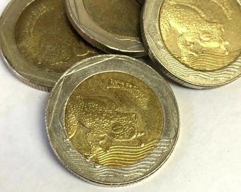 Colombia 500 Pesos Bi-Metal GLASS FROG "Rana da Cristal" coin (2012-Present)