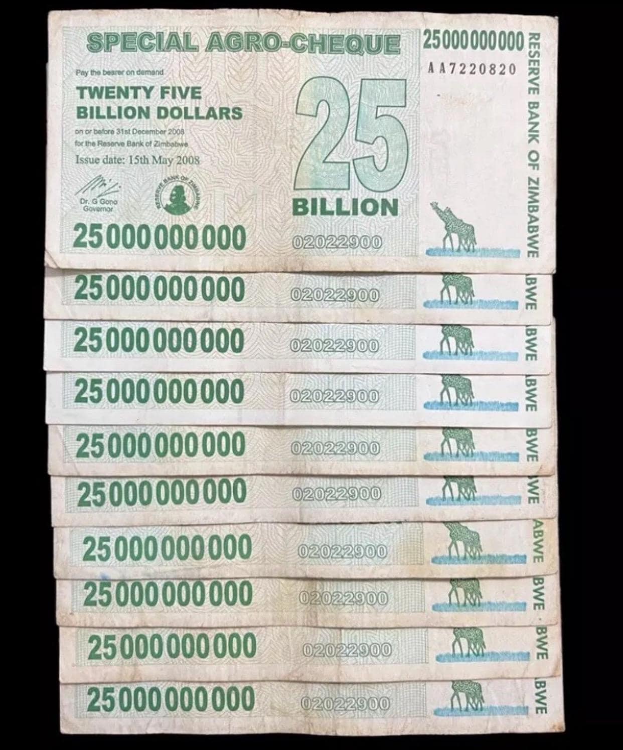 10 trillion dollar - Etsy 日本