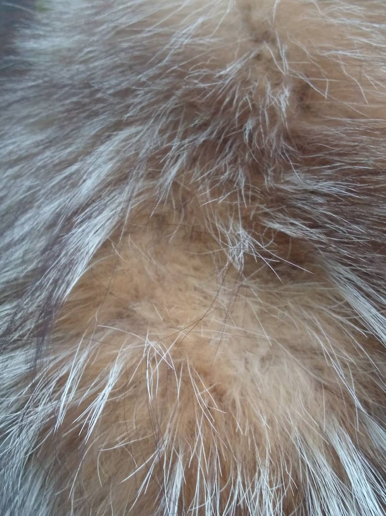 made in USA scarf reclaimed fur New crystal fox fur collar faux suede lining unique unsex handmade