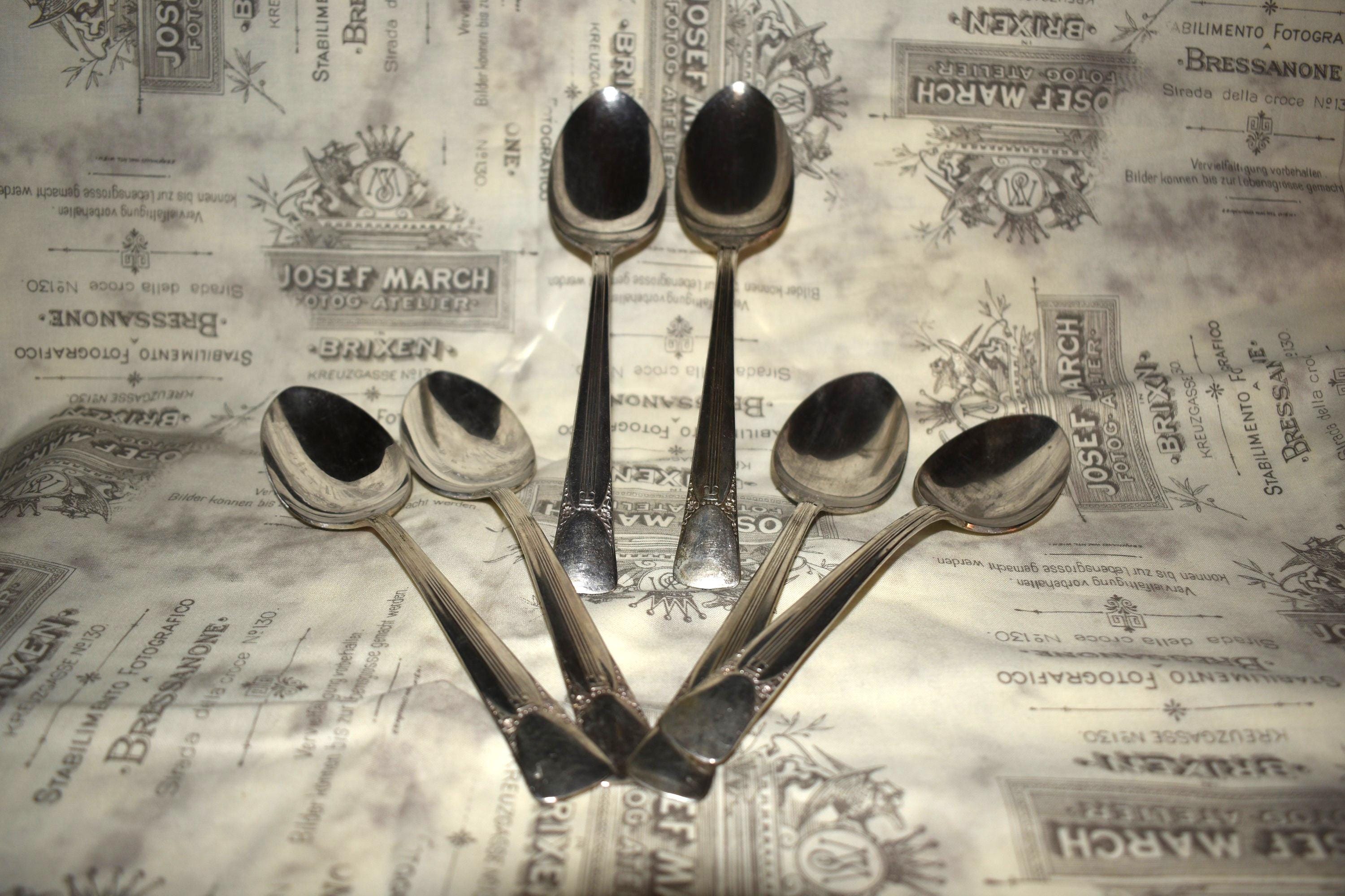 Sugar Spoon Embassy Silverplate Patterns Vintage Set Of