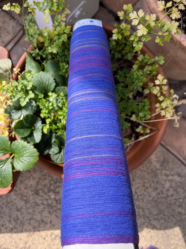 K&ouml;nnte beinhalten: Eine hohe Spule aus blauem Garn mit horizontalen Streifen in Lila, Rosa und Gold. Das Garn befindet sich in einem Topf mit gr&uuml;nen Pflanzen. Das Garn ist wahrscheinlich f&uuml;r Strick- oder H&auml;kelprojekte.