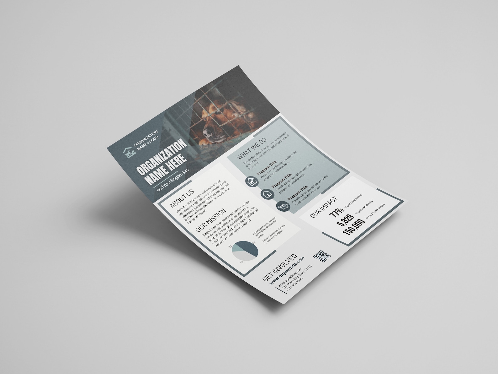 Nonprofit One Pager | Editable Organization Overview | Charity ...