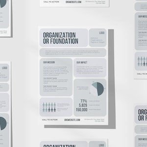 One Pager non-profitorganisatie | Overzicht organisatieoverzicht Overzichtspagina | Impact, missie | Canvassjabloon