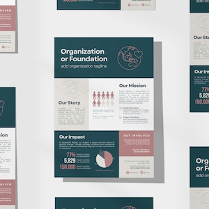 Nonprofit Organization One Pager | Editable Infographic | Nonprofit Summary Page | Canva Template