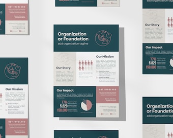 Nonprofit Organization One Pager | Editable Infographic | Nonprofit Summary Page | Canva Template
