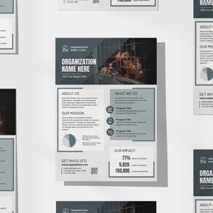 One Pager non-profitorganisatie | Bewerkbaar organisatieoverzicht | Overzichtsflyer goede doelenorganisatie | Canvassjabloon