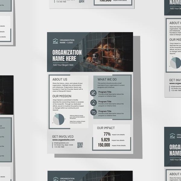 Nonprofit One Pager | Editable Organization Overview | Charity Organization Summary Flyer | Canva Template