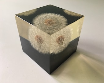 Large Impressive Pierre Giraurdon Style Dandelion Lucite Enclosed FlowerTabletop vintage mid century acrylic scientific resin inclusion