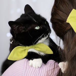 Linen Knotted Bunny Ear Bow Tie for Pets, Cats, Dogs | Slides onto Existing Collar