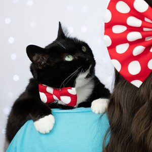 Pajarita de peluche inspirada en Disney de Minnie Mouse con lunares para perros y gatos