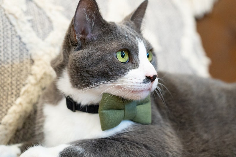 Linen Bow Tie for Pets, Cats, Dogs Slides onto Existing Collar image 3