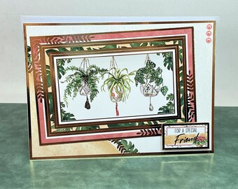 Special Friend Birthday Card- handmade greetings card with hanging plant images. Personalised card. Gardening Card, home decor. Code: LB11