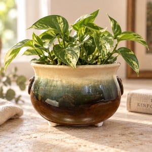 May include: A round ceramic planter with a glossy ombre glaze transitioning from cream at the rim to deep green and dark brown at the base. The pot features small side handles, three short feet, and contains a green and white variegated pothos plant.