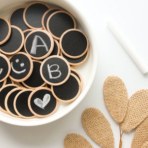 Chalkboard Coins | preschool kindergarten Montessori homeschool | wooden toy | alphabet numbers shapes colors | open ended learning