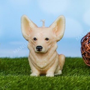 May include: A cream-colored candle shaped like a corgi dog sitting on a green grassy surface. The candle has a brown nose and black eyes. There are three wicker balls in the background.