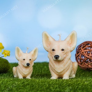 May include: Two realistic-looking, cream-colored, candle sculptures of corgi dogs. The larger corgi is sitting with its paws forward, while the smaller corgi is sitting with its paws tucked under its body. Both candles have a small wick on top. The candles are on a green, artificial grass surface.