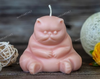 Grumpy Chubby Cat 3D Silicone Mold, Candle, Soap Mould, Funny, Cat