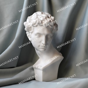 Peut inclure: Buste en plâtre blanc d'une personne aux cheveux courts et bouclés. Le buste est sur un fond de tissu gris.