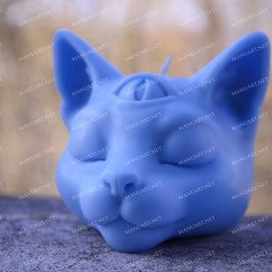 Moule Mystique De Silicone De Tete De Chat 3d Moule De Etsy