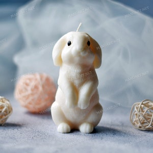 Beautiful Bunny 3D FOOD SAFE silicone mold, soap, candle mould, rabbit, hare, Easter, cute, lovely, mold for resin, concrete, clay
