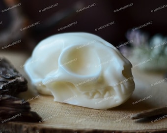 Сat skull real size 3D silicone mold, candle mold, soap mould, concrete, resin, altar, witch, Tarot, mystic, spiritual, magic, witchcraft
