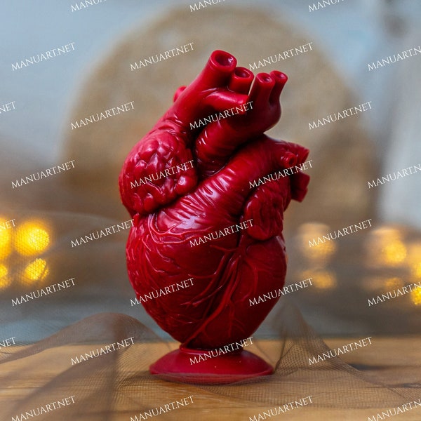 Anatomical human heart 3D silicone mold, candle mould, resin, concrete, soap, Valentine's Day, Gothic, Halloween, witchcraft, altar, love