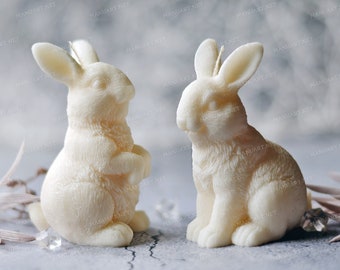 Beautiful Bunny FOOD SAFE 3D silicone mold, soap, candle mould, rabbit, hare, Easter, cute, lovely, mold for resin, concrete, clay
