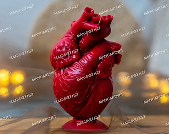 Anatomical human heart 3D silicone mold, candle mould, resin, concrete, soap, Valentine's Day, Gothic, Halloween, witchcraft, altar, love