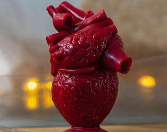 Heart Mold Gothic for Candle Making, Soap, Resin, Concrete, Realistic Human Anatomy Silicone Mould