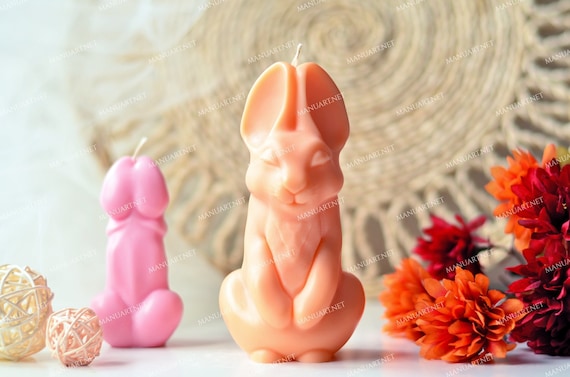  Silicone Penis Mold, Penis Soap Mold, Adult Theme Silicone  Mold, Penis Cake Mold, Hen Party Mold, Bachlorette Party Mold (Small)