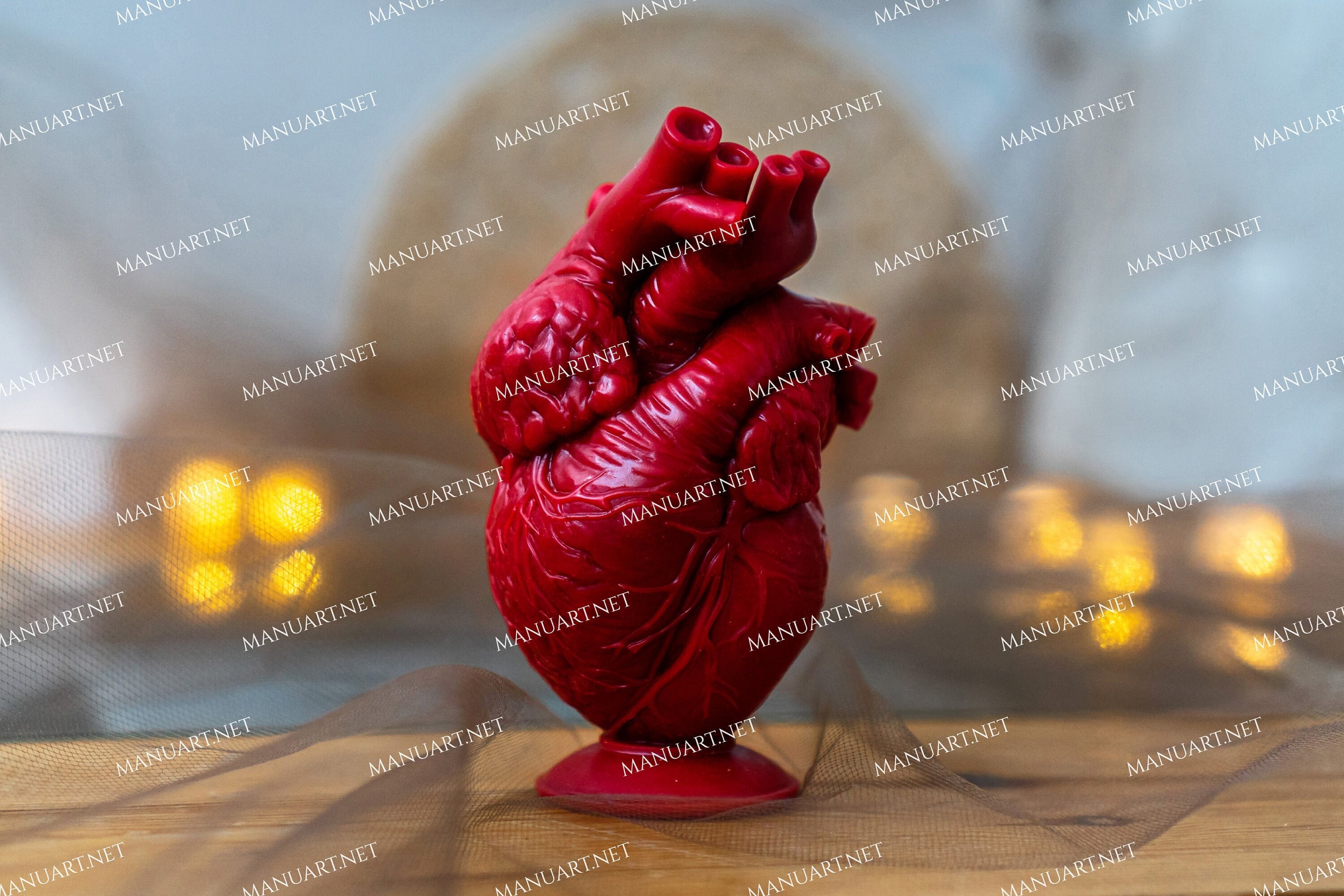 Silicone Mold for soap and candles anatomical heart 3D, 3D molds, molds,  candles molds, silicone molds for gypsum - AliExpress